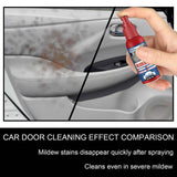 Cleaning And Maintenance Car Interior Mould Removal Spray