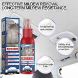 Cleaning And Maintenance Car Interior Mould Removal Spray