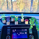 Car Perfume Fragrance Creative Accessories