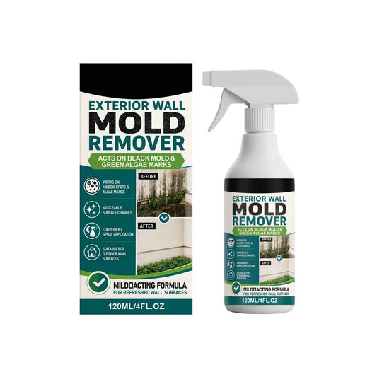 Exterior Wall Mold Remover