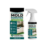 Exterior Wall Mold Remover